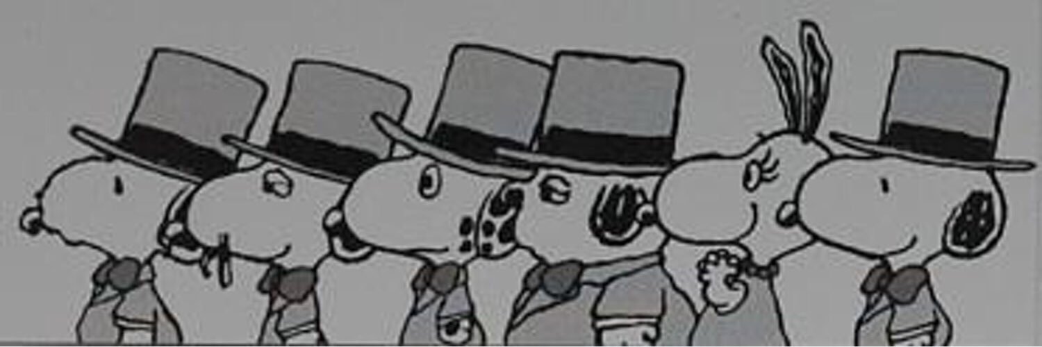 n_bs2's profile banner image