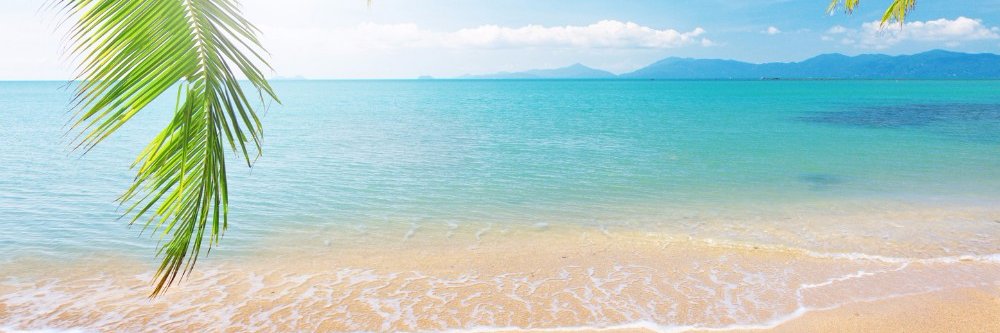 Claudia Benvenuti banner