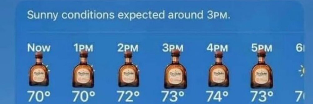 PATRIOTS 2027 SB CHAMPS banner