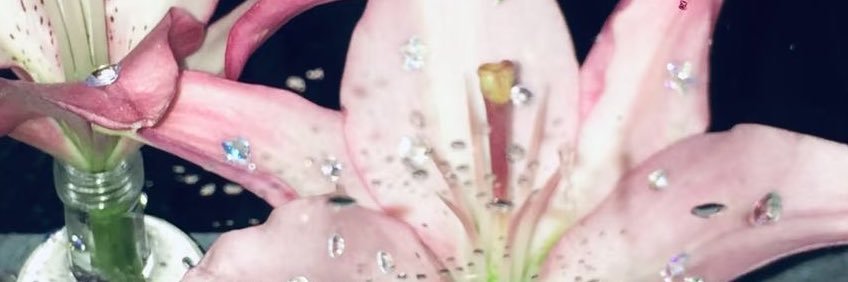 ❦ .˚ℬ𝓁𝓊𝓊*𝒿 ⋆.🪷 banner