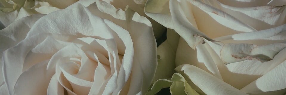 sidneyvangg's profile banner image