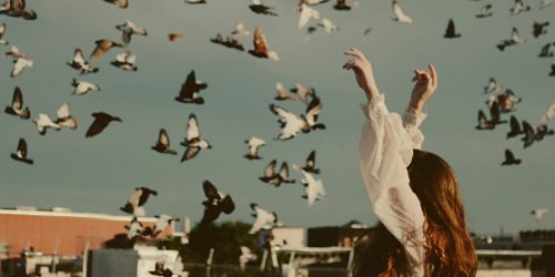 ImagJanosNL's profile banner image