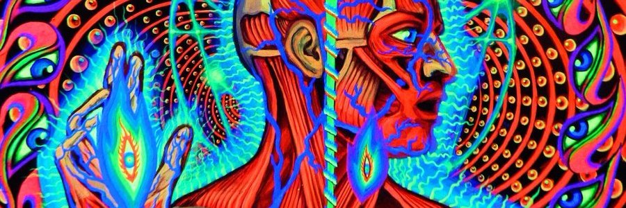 ChikenBurd's profile banner image