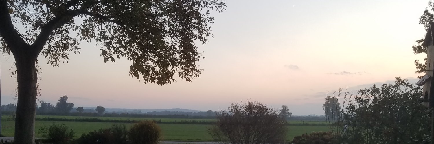theleoniee's profile banner image