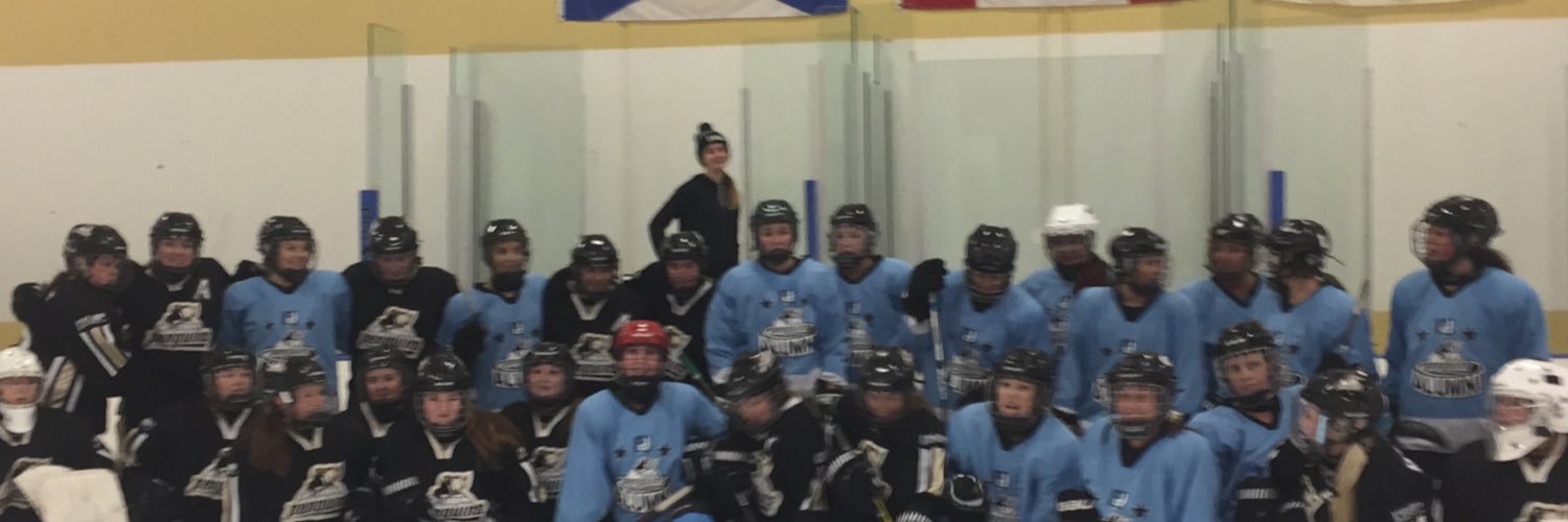 EHpenguins's profile banner image