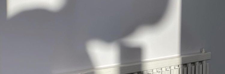 pednoi_12's profile banner image