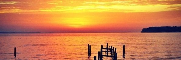 BryanVico's profile banner image