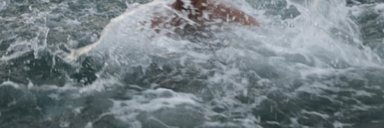 TeamBangky's profile banner image