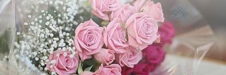 asktkara1234's profile banner image
