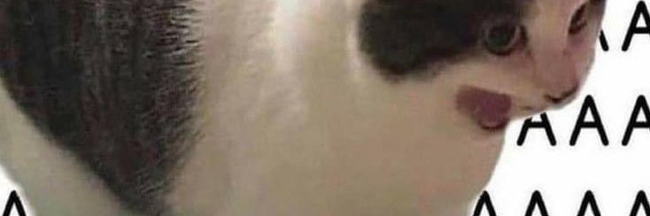 junrvr's profile banner image