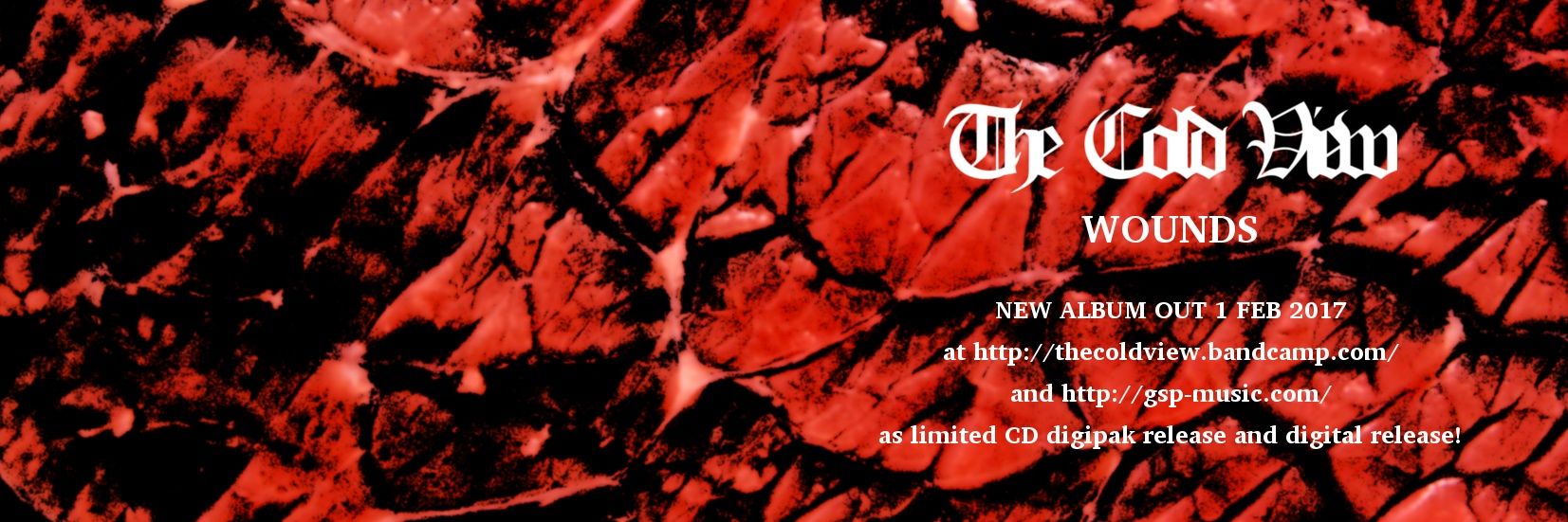 The Cold View banner