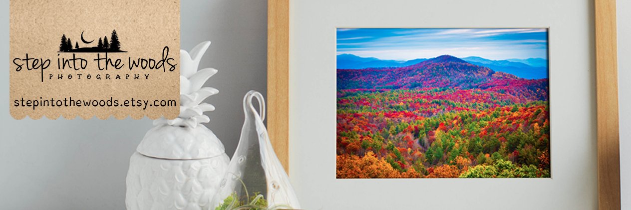 stepN2thewoods's profile banner image