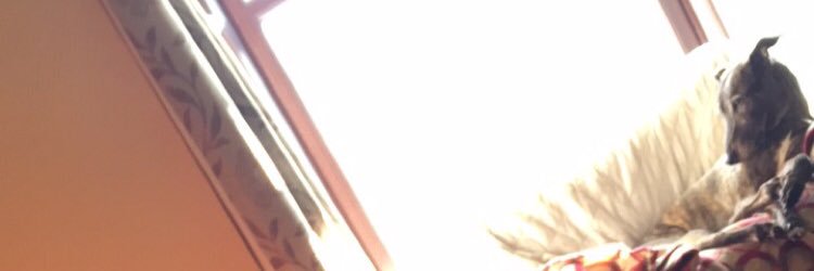 Harry banner