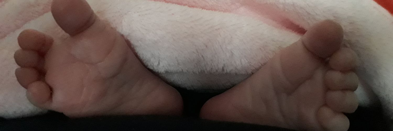 evytje5's profile banner image