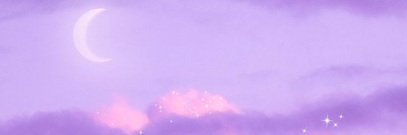 Reinaeia's profile banner image