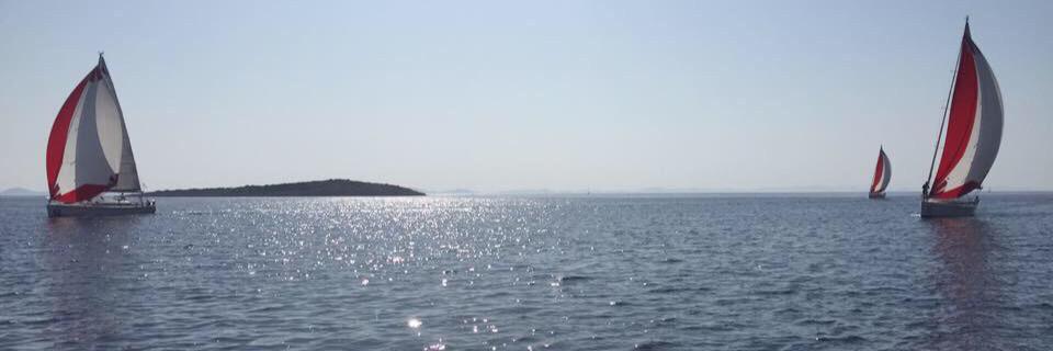 sasa_vidmar's profile banner image