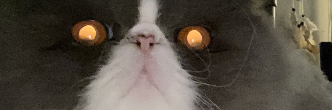 fried_baconn's profile banner image