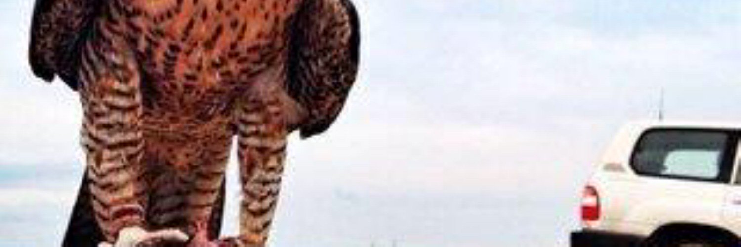u5xx_'s profile banner image