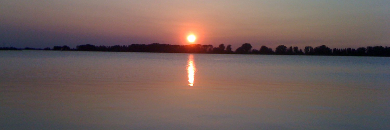 rpontoni's profile banner image