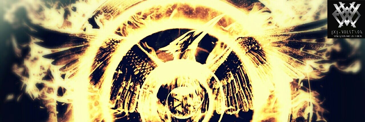 WHO IS THE NE[X]T ? banner