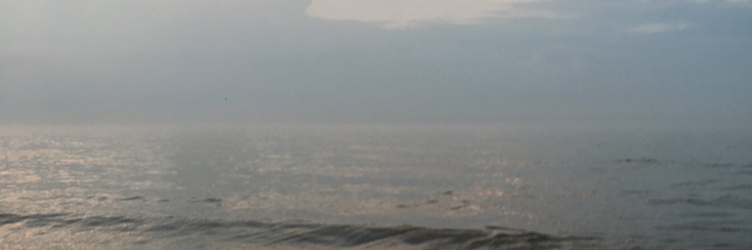 TylerChrise1's profile banner image