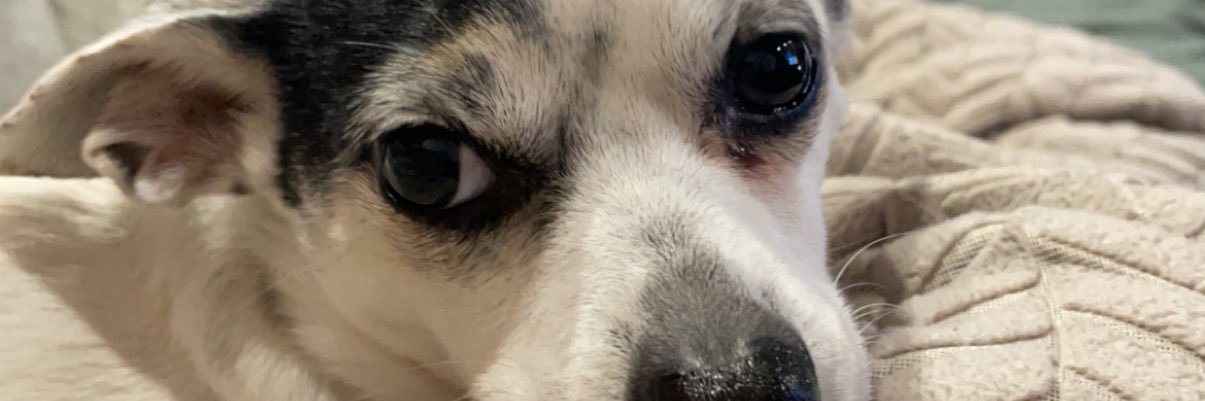 Thefabcrystal's profile banner image