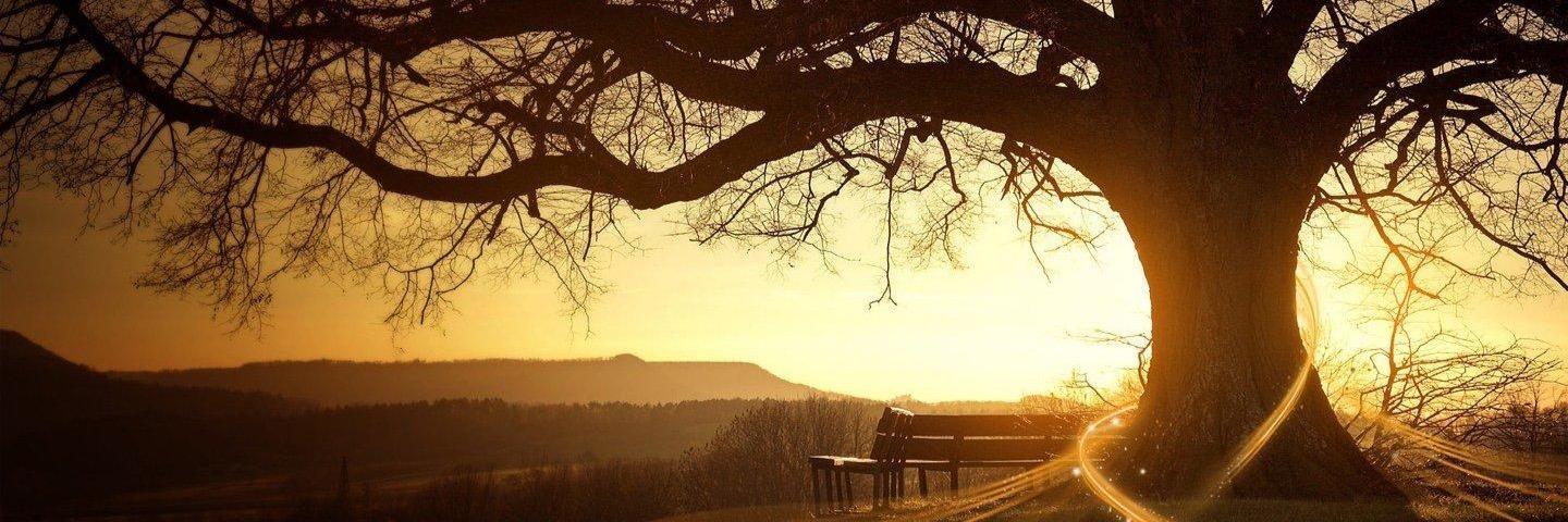 PositiveEn3rgy's profile banner image