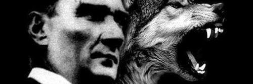 birnet88's profile banner image