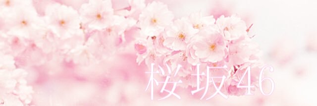 sakura_46_'s profile banner image