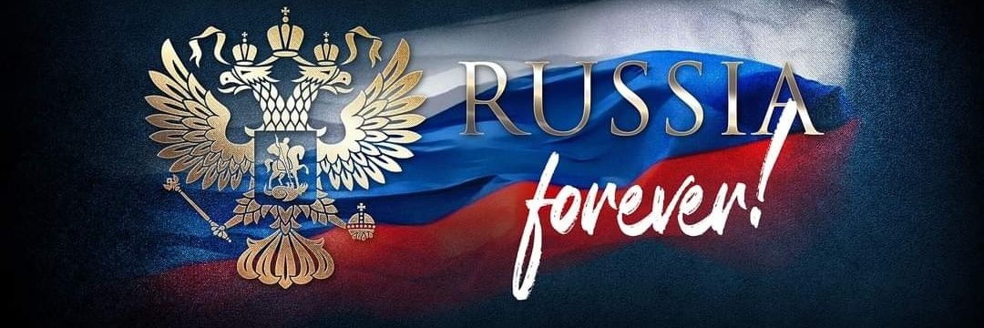 LGrebneva's profile banner image
