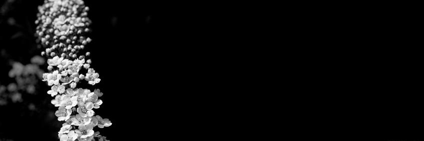 NOOUFALAJMEi's profile banner image