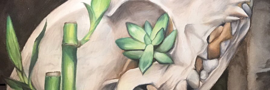 rae_malone's profile banner image