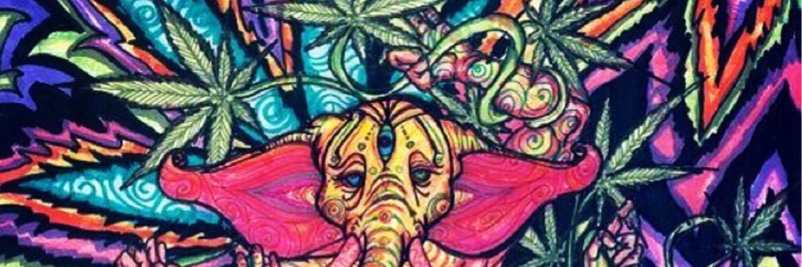 wilmacanon's profile banner image