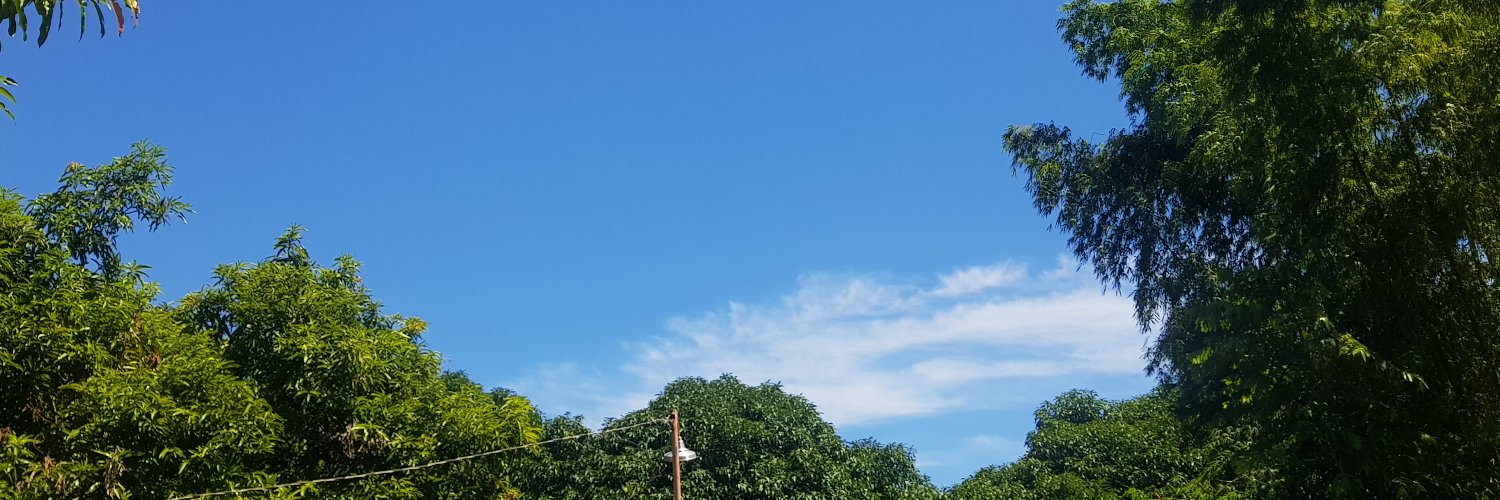 jmrsclrss's profile banner image
