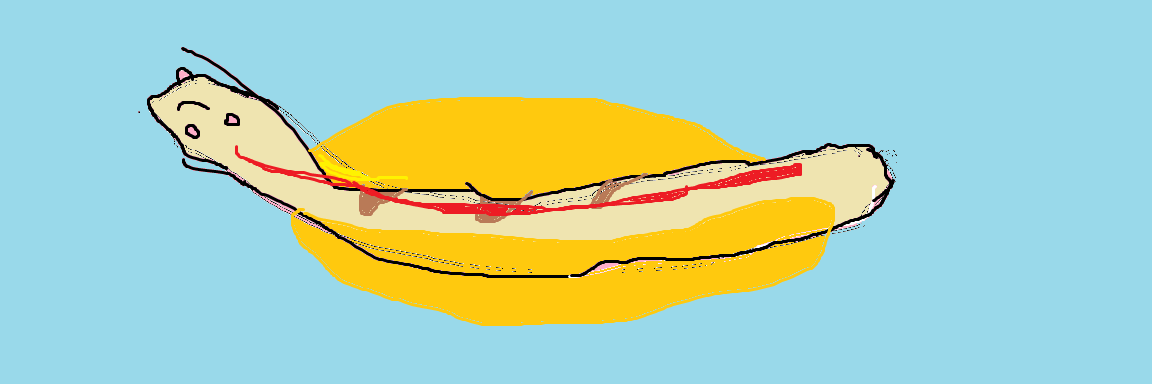 KentAgentDaBaws's profile banner image