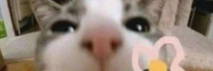 Cuacknwn's profile banner image