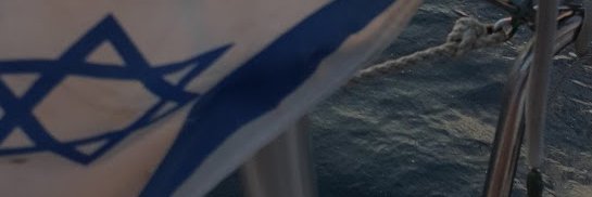 Stan Goldin banner