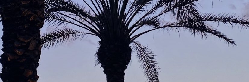 camomille_13's profile banner image