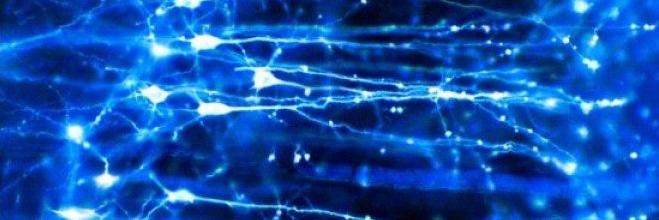 BrainImmortal's profile banner image