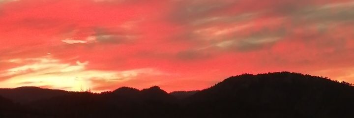 Heavyluis Millan banner