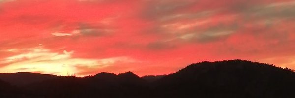 HeavyluisM Profile Banner