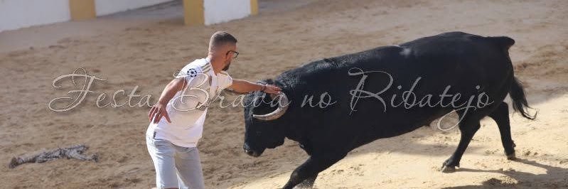 RodrigoTheKing1's profile banner image