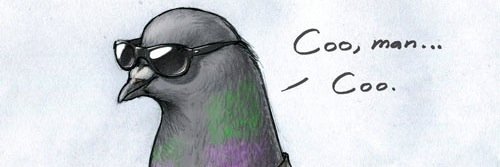 vinny_howard's profile banner image