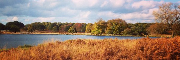 simone__smith Profile Banner