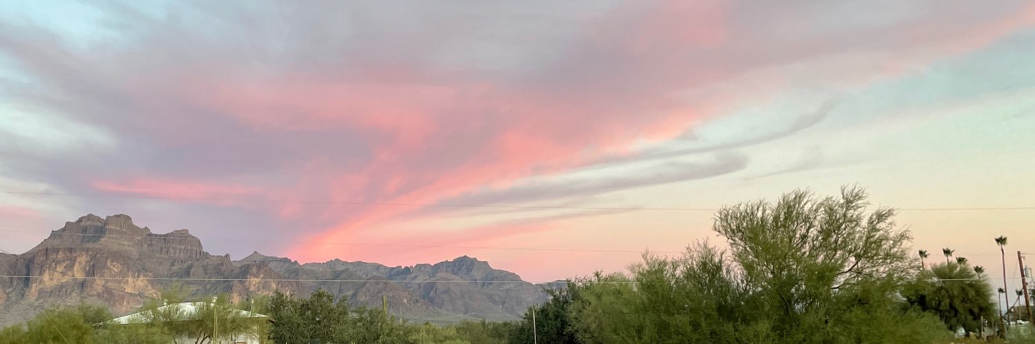 Sarah🌵🇺🇸☀️ banner