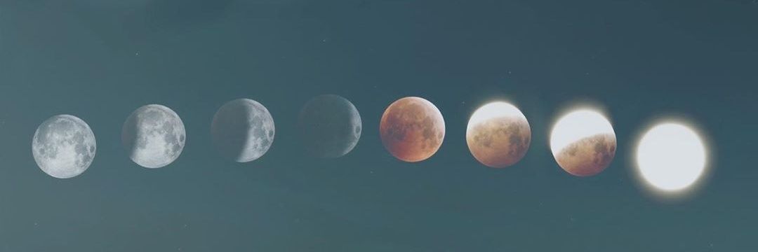 CarlaBustos8's profile banner image