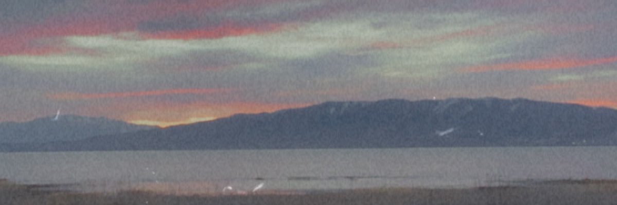 rylieerood's profile banner image