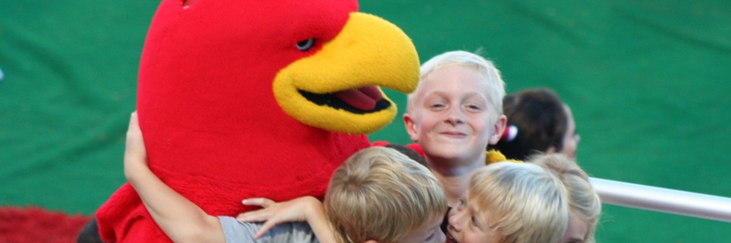 BlazePhoenixSHS's profile banner image