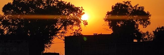 dxit_divya's profile banner image