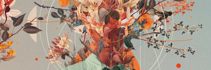 Frank Moth💎in SuperRare banner